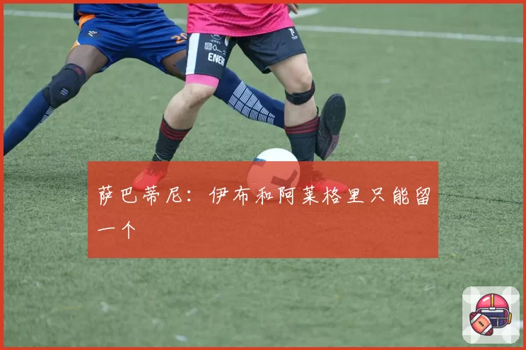 萨巴蒂尼:伊布和阿莱格里只能留一个