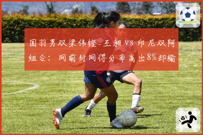 国羽男双梁伟铿_王昶 vs 印尼双阿组合:网前封网得分率高出8%却输在连贯失误