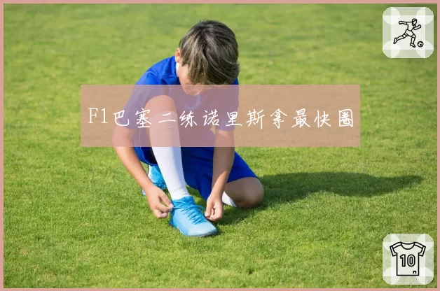 F1巴塞二练诺里斯拿最快圈