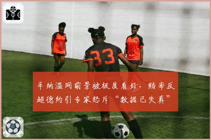 辛纳温网前景被极度看好，赔率反超德约引专家怒斥“数据已失真”