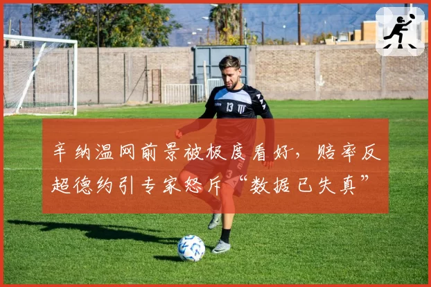 辛纳温网前景被极度看好，赔率反超德约引专家怒斥“数据已失真”