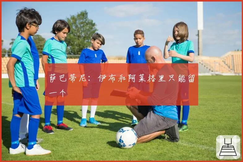 萨巴蒂尼:伊布和阿莱格里只能留一个